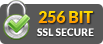 256bit ssl secured